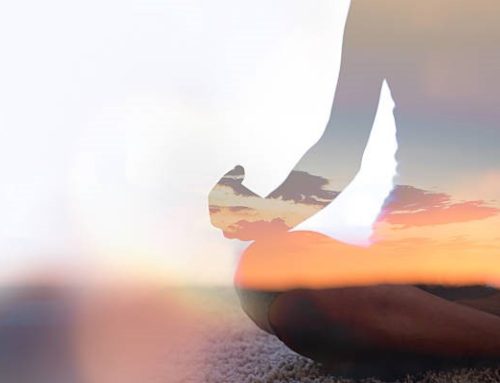 Multitudes of Meditation