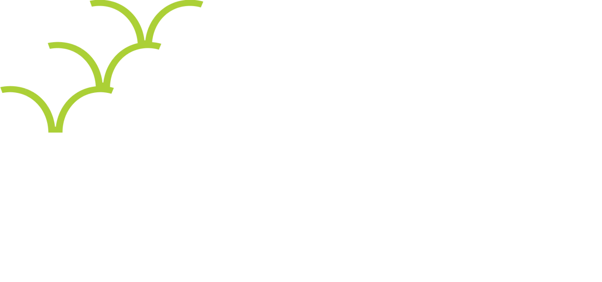 FG_WebRefresh_RISE2_RISE copy